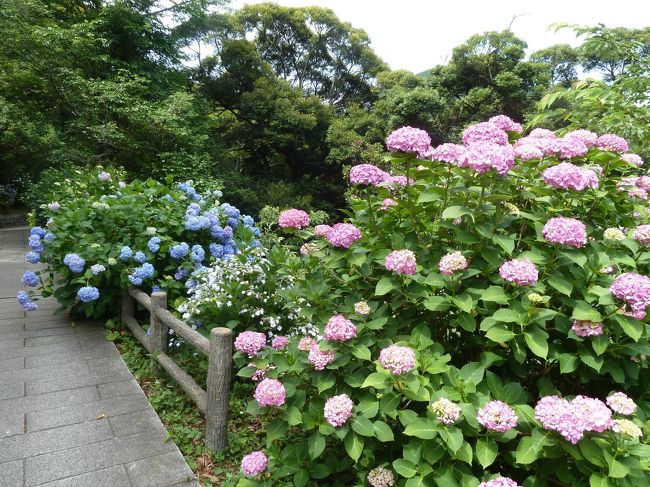 かな〜り癒されます。