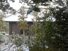 正倉院は公開されていませんでした…