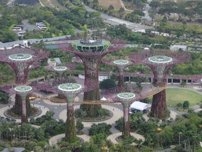 上から見るとまた違う趣きです。