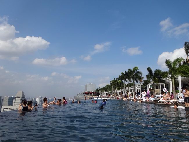 プール内から撮った一コマです。