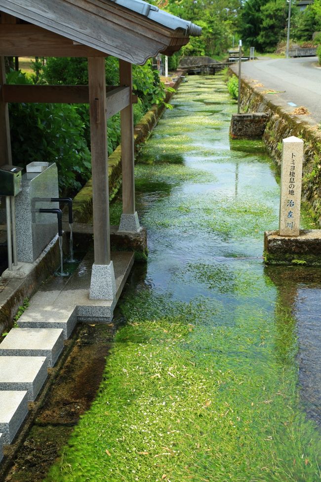 12：00　治佐川の梅花藻<br /><br />見学自由<br />駐車場無し