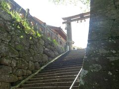 湯布院に向かう前に少し立ち寄り。有田町の隣町、武雄市にある武雄神社にやってきました。
