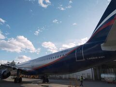 モスクワ到着！

此処からサンクトペテルブルグに移動です。
ルフトハンザはドモジェドヴォ国際空港に到着しますが、スカンジナビア航空はシェレメーチエヴォ国際空港に到着。
従って、予め購入していたドモジェドヴォ→サンクトペテルブルグの国内線は破棄。
すぐにスマホでシェレメーチエヴォ→サンクトペテルブルグを60ユーロで買い直しました。