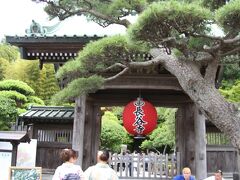 長谷寺の山門

長谷寺の係りの方に伺うと、紫陽花は４分咲き程度とのことなのでで入山は止めて、成就院へ向かいます。
