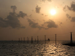江川海岸からほど近い、久津間海岸にも電柱があります。