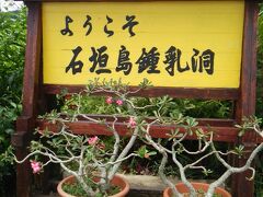 レンタカーで石垣島鍾乳洞まで来てみました！