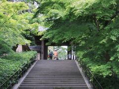 ランチをすませ、北鎌倉へやってきました。

桜や紅葉の時期によく訪れる円覚寺、今日はスルーして明月院へ直行します。