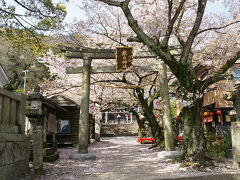 ●春日神社＠新町

桜が咲き乱れる春日神社。
静かに春を感じれます。