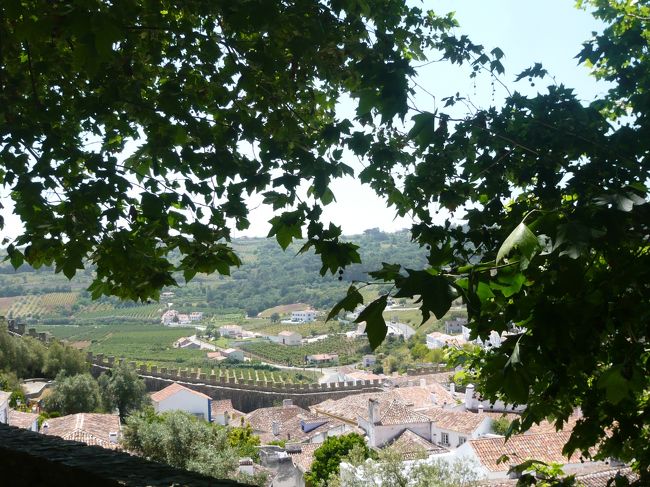 ほかのレストランへ行くことにして、もと来た道を戻ります。<br /><br />先ほどは閉まっていた市立博物館が開いていました。