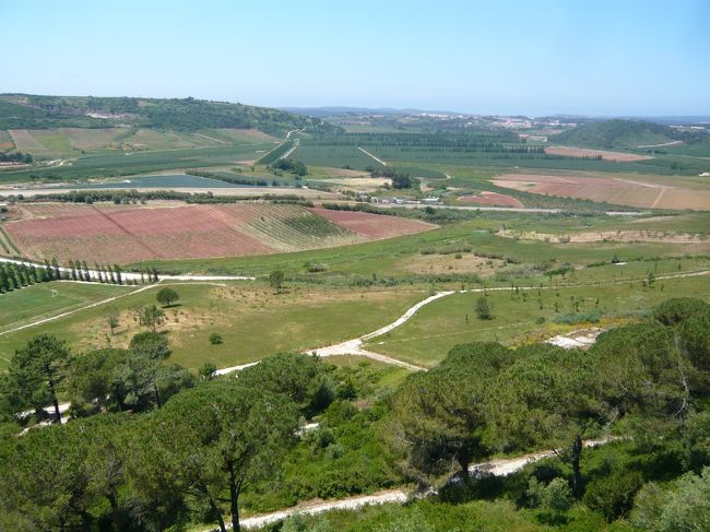 城壁の外は一面のブドウ畑。<br />ほんと、トスカーナと同じ風景です。