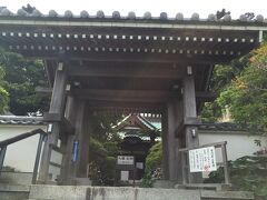 帰路、坂東三十三観音霊場第三番札所・安養院（田代寺）に立ち寄りました。
拝観料は１００円（志納）です。

主に、坂東三十三観音の札所参りが目的でしたが、たくさんのアジサイも見ることができて満足でした。