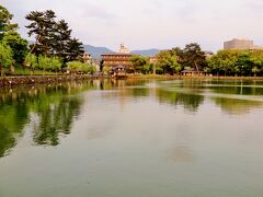 奈良：中心部　夕刻散歩　52