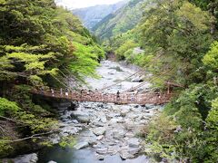 祖谷のかずら橋