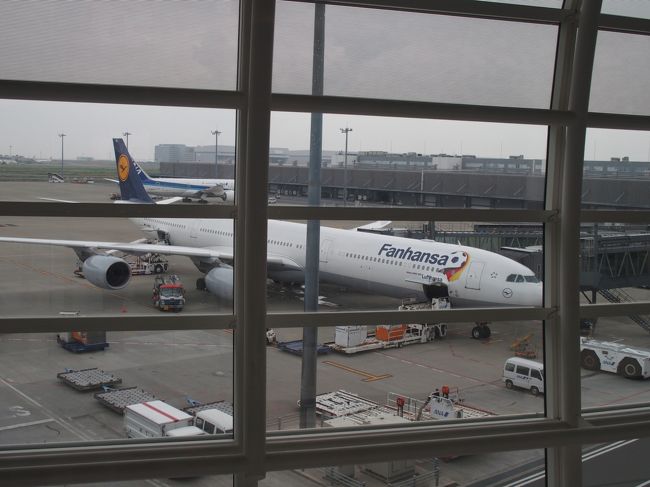 LufthansaはFanhansa特別塗装