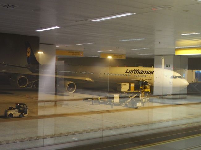 羽田を出発して30時間。ついにSão Paulo到着！