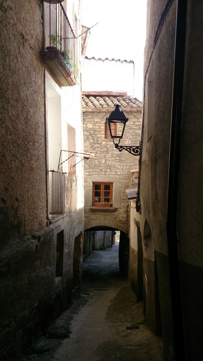 夕方なので、夕食の準備でもしているのでしょうか？<br />