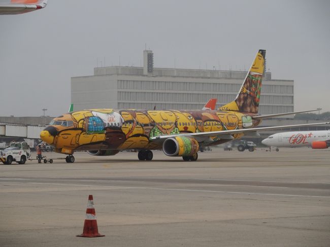 こちらはGolの代表特殊塗装らしいが、これだけでは何を表してるのかさっぱりわからん（笑）