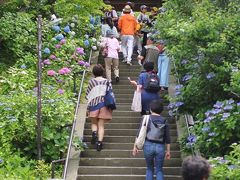 北鎌倉駅のから徒歩5分ほど。東慶寺のアジサイも魅力があるが明月院ほど混雑していない。拝観料も\200なので、コストパフォーマンスが高い（と思う）。