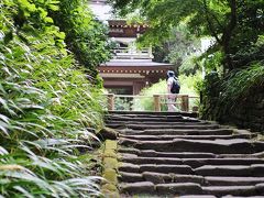 東慶寺から徒歩5分もしないうちに浄智寺に到着。山門へと向かう階段の不揃いさ（摺り減り具合？）が好きで。両脇にアジサイがあると絵になるけど、それじゃあ幕の内弁当みたいか。