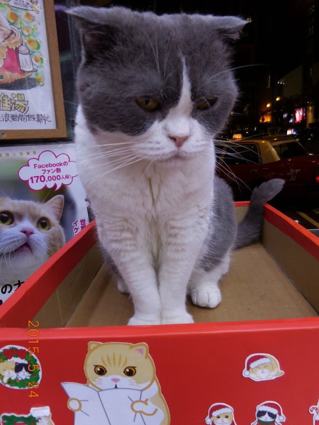 ご主人様は不在。奥さまにご挨拶。<br />