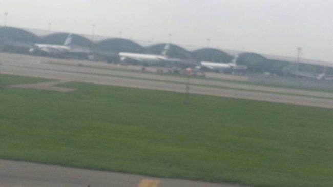 さようなら・・・また来るからね！！！