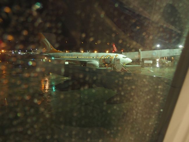 さらば雨のSalvador