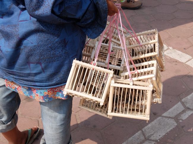 すずめ。<br /><br />願いを込めて飛ばすんだったっけな・・・？