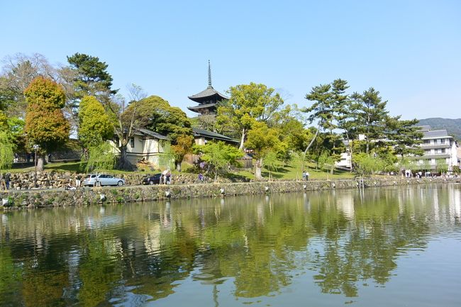 猿沢池と五重塔<br /><br />五重の塔を一緒に撮れるスポットだったのに、前回来たときは池しか写っていなかったので、今回は五重塔も一緒に！