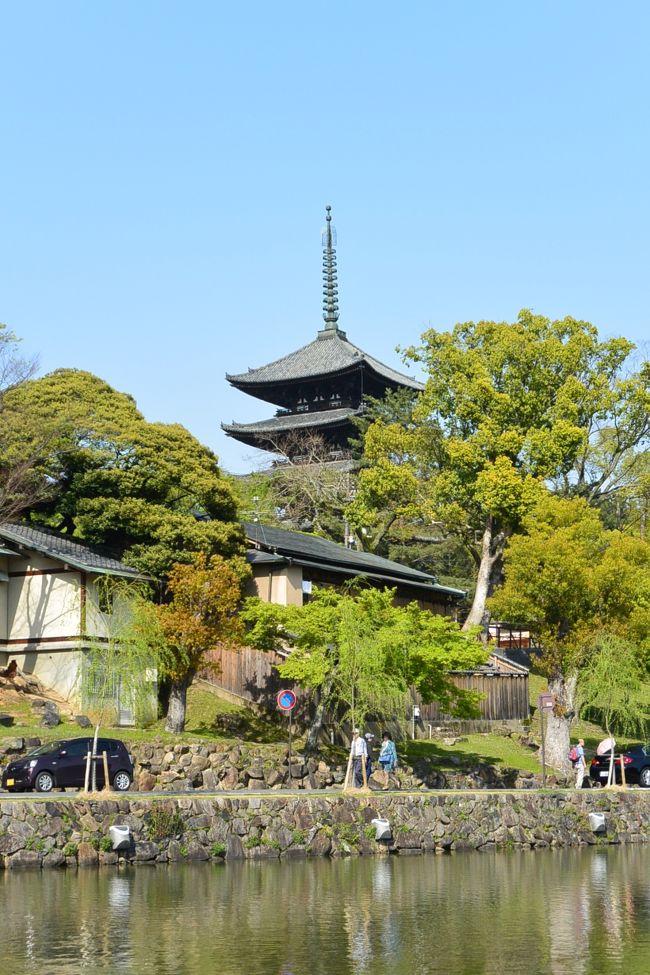 猿沢池と五重塔
