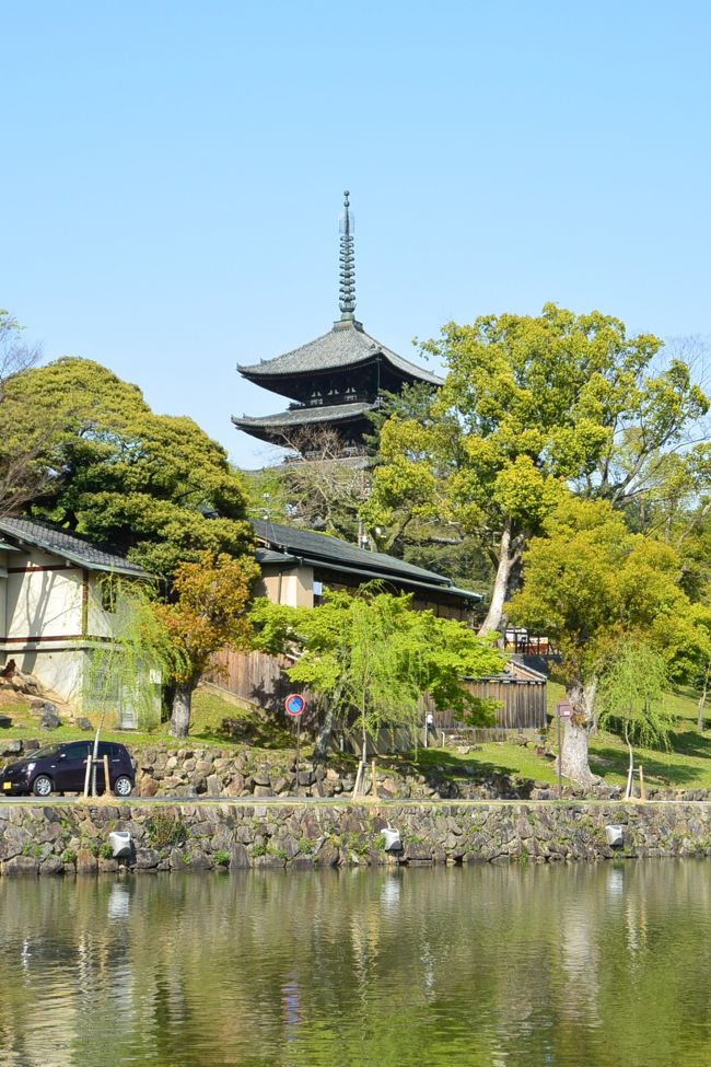 猿沢池と五重塔