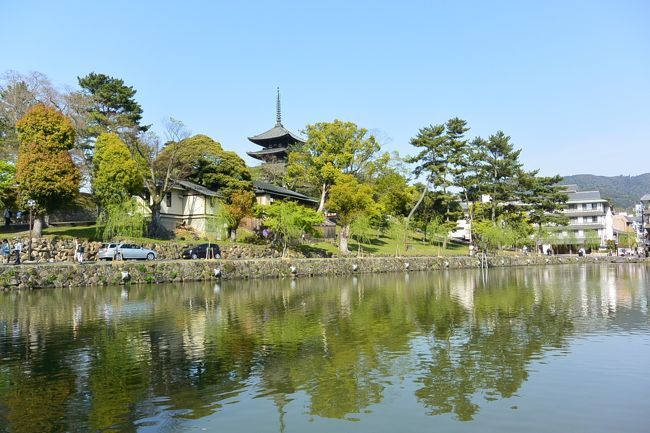 猿沢池と五重塔