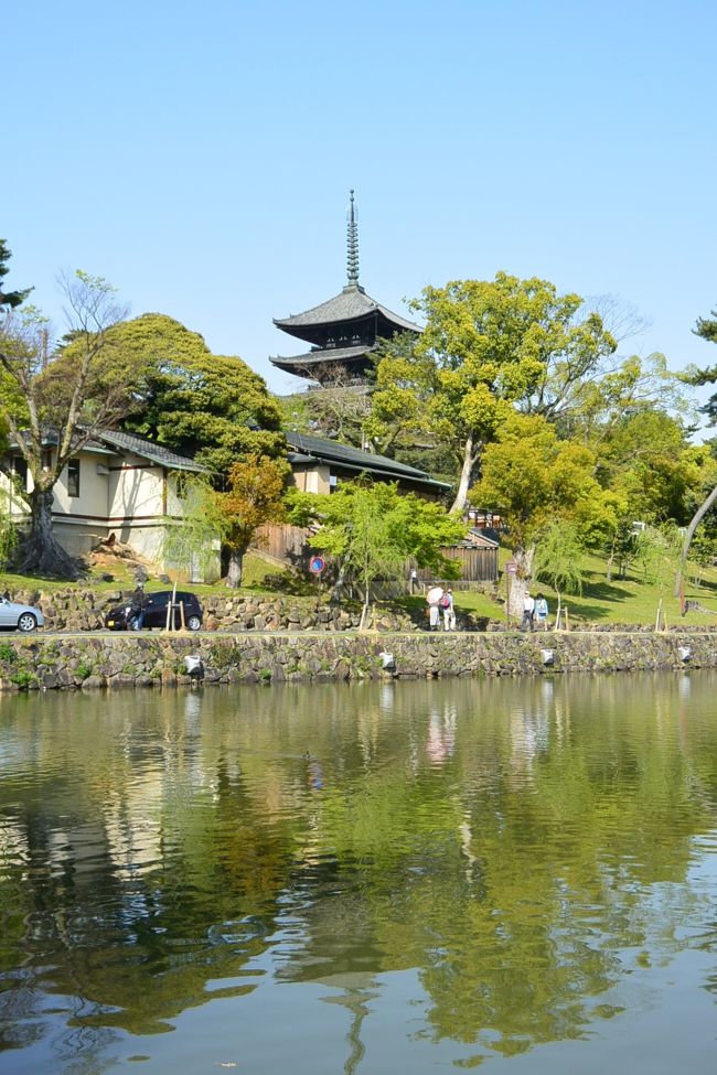 猿沢池と五重塔