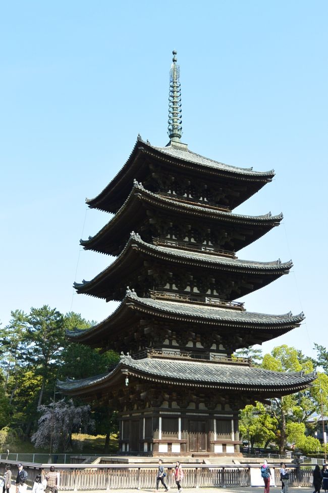 興福寺の五重塔