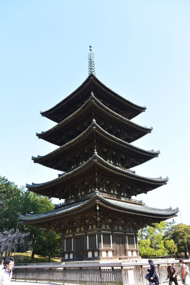 興福寺の五重塔