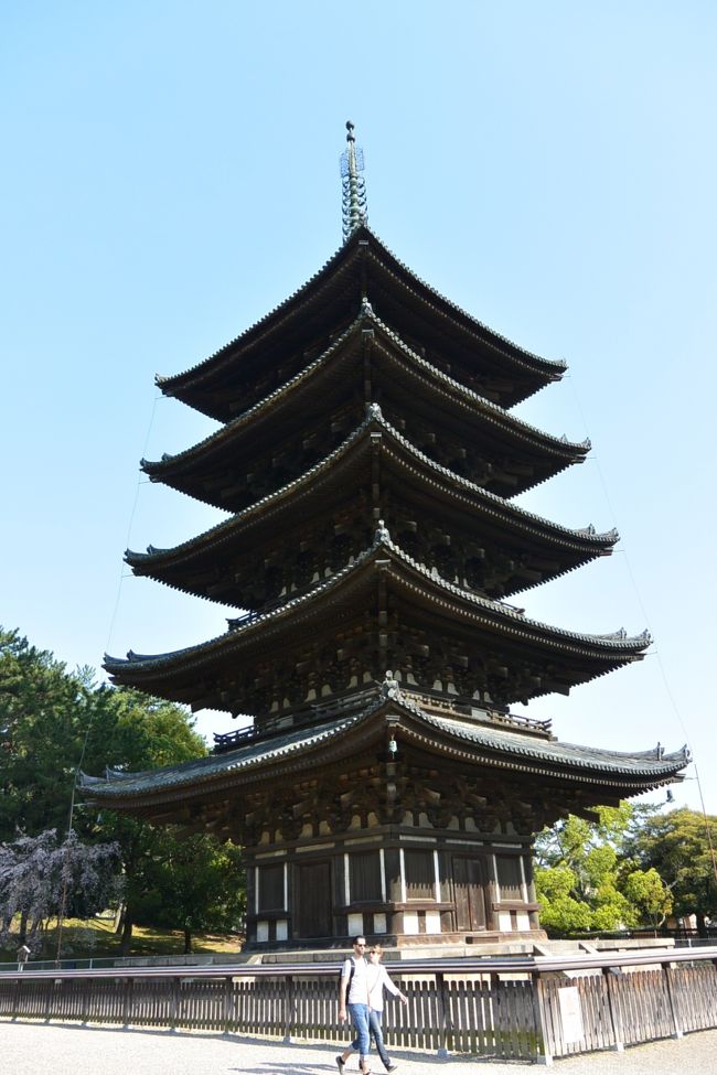興福寺の五重塔