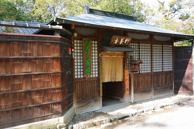 お茶屋さんのわらびもちに引き込まれそうになりました。