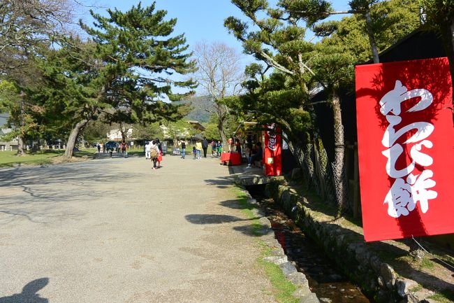 わらび餅が気になるけど、待ち合わせ場所へ！