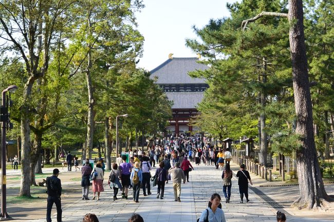 東大寺南大門から見た中門。