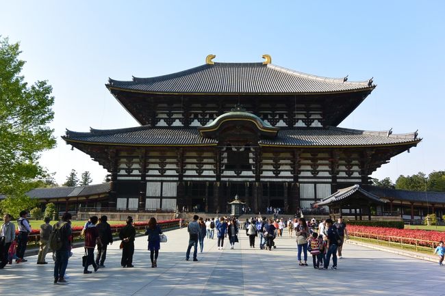 東大寺大仏殿