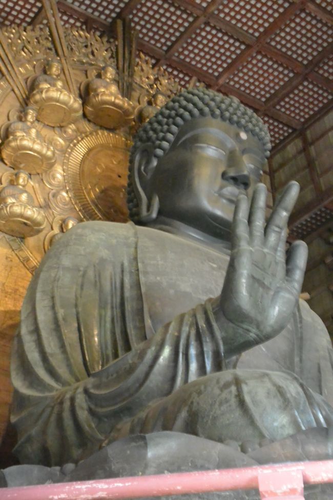 東大寺大仏殿
