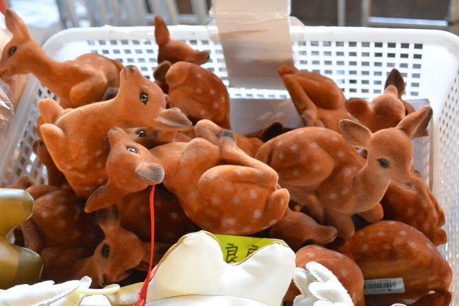 東大寺大仏殿の売店の鹿さん