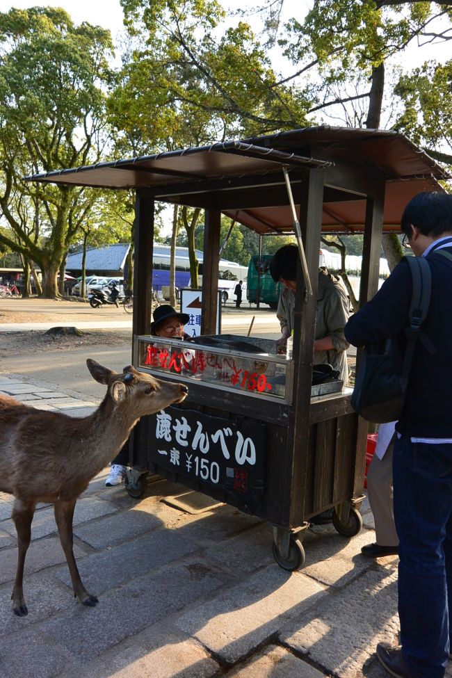 鹿せんべい屋さん。<br /><br />すでに鹿さんがお待ちかね。
