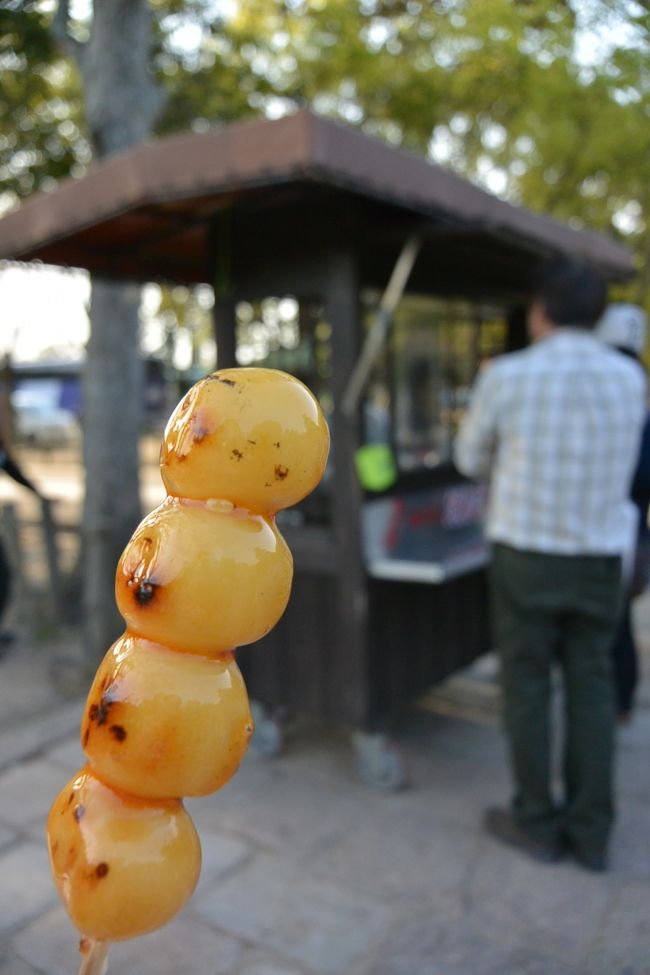 みたらしだんごをおいしくいただきました〜♪