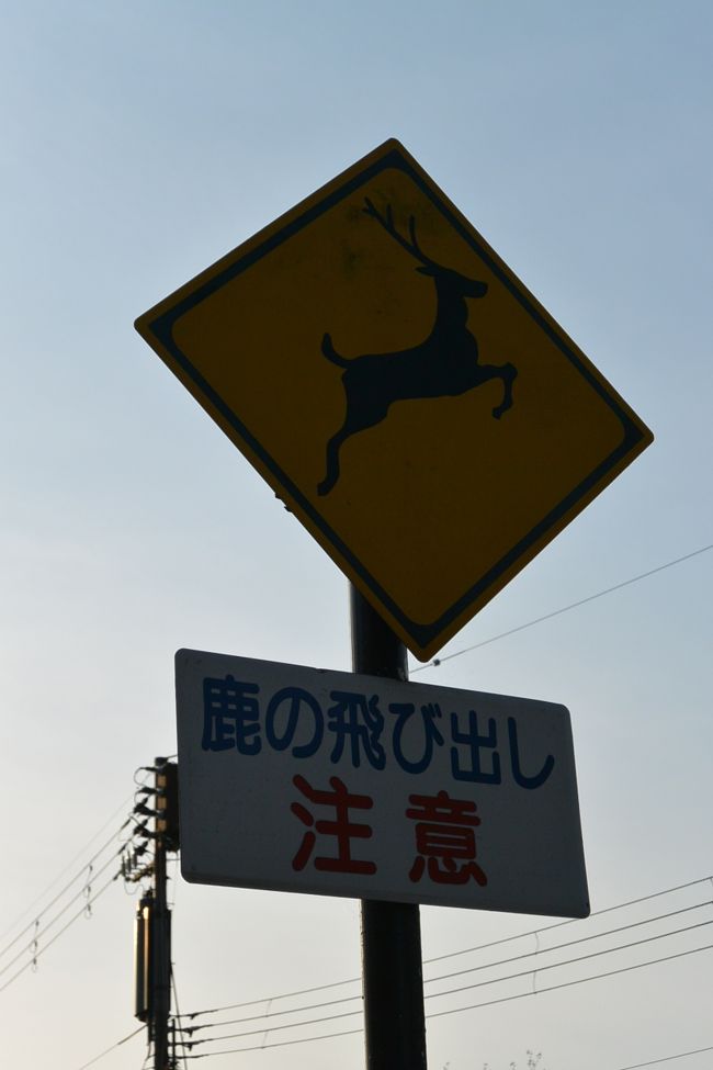 鹿の飛び出し注意