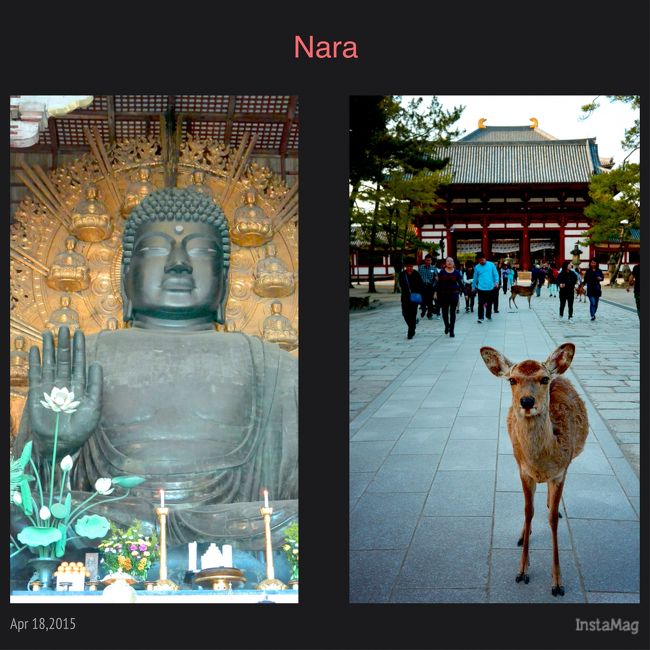 大仏さまと鹿さん