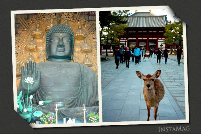 大仏さまと鹿さん