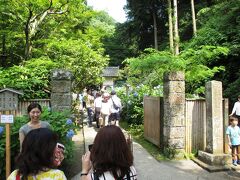 「あじさい寺」こと 明月院（めいげついん）
