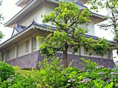 梅雨の晴れ間の旅の始まりは、騎西城から。
騎西城があるのは埼玉県の加須市にある騎西町、茨城県との県境近くにある町だ。
最寄り駅は東武伊勢崎線の加須（かぞ）駅。
加須駅からはバスで10分(朝日バス、停留所名；福祉センター)の所に騎西城がある。

騎西城が史実として初めて登場したのは1455年。
まだ、徳川の世が始まるよりも150年も昔の話だ。
その後、上杉謙信に攻め落とされ、その後には松平氏が城主となったそうだが、ここへ来るまで騎西に城があった…という事は知らなかった。