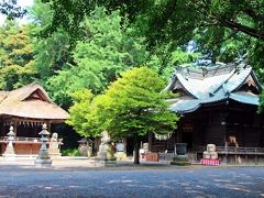 紫陽花プロムナードの後に向かったのは玉敷神社。
玉敷神社は、平安時代初期には書物に名前の残る古い社で、昔の名前を久伊豆明神と云い、埼玉県の元荒川流域に現在も数多く存在する久伊豆神社の本社であったと云われる神社だ。

私がこの神社に興味を持ったのは、社の周りに茂る木々。
玉敷神社の社叢林(しゃぞうりん)は、関東地方の極相林である林。

極相林とは、森林の最終段階を表す言葉。
草木が何も生えていない痩せた土地に苔が生え、1年草、多年草と植生がゆっくりと交代し、コナラやクリ等の陽樹の時期を経て、マツやカシ等の日照量の少ない条件でも育つ陰樹が生い茂る林の事で、森林の最終段階の状態が安定した林のこと。
極相林の木々はその地域により種類が異なり、シイやカシの木が関東地方の極相林の特徴。
極相林が出来上がるには300年〜500年の年月がかかると云う。

日本で極相林として有名なのは、屋久島の屋久杉の森や、白神山地のブナ林。

そんな極相林が加須市内、それもアナベル・ロードの近くにあると知り、その森を見てみたかった。