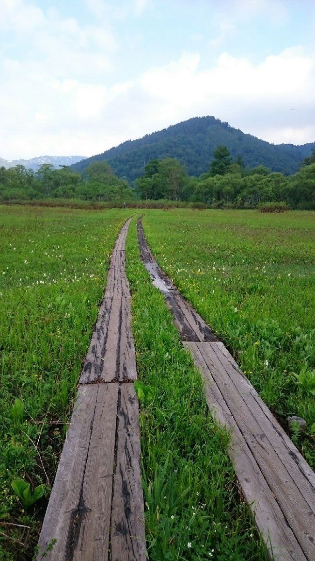 山ノ鼻〜牛首分岐は早朝で人が少ないせいか、尾瀬ヶ原を1人占めの気分です。適度に風も有って爽やかです。気持ちいい〜！<br />